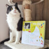 Mon Chat et Moi | Version Vert – Image 7