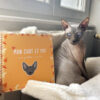 Mon Chat et Moi | Version Orange – Image 6