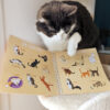 Mon Chat et Moi | Version Orange – Image 7